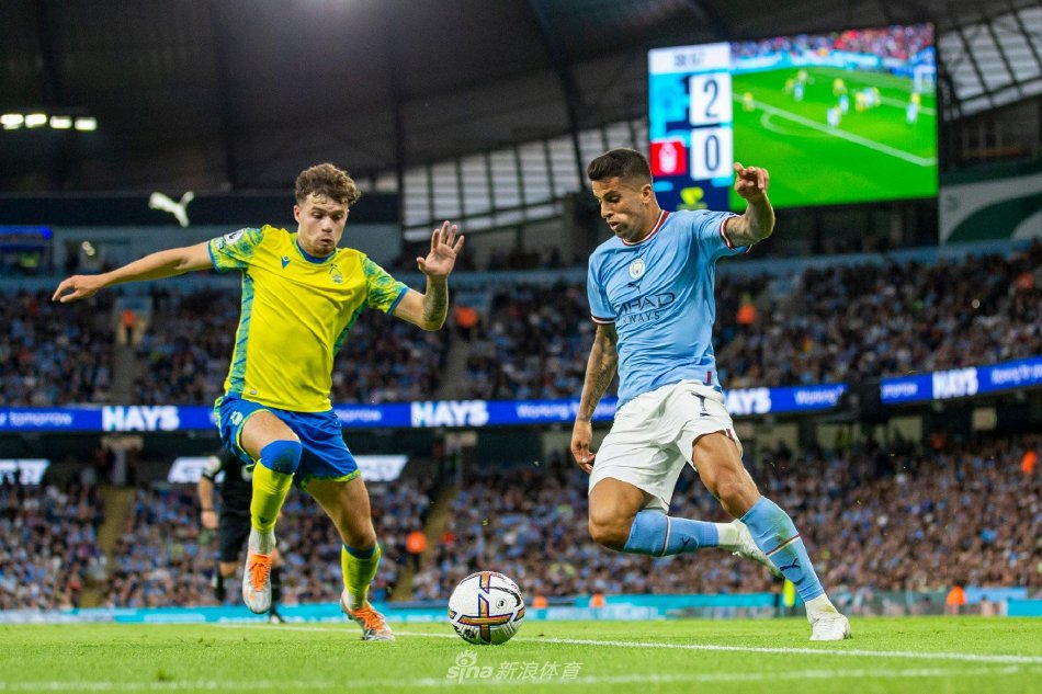 排球队伍参 排球队伍参